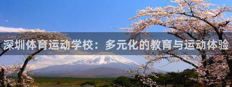 vsport体育在线官网：深圳体育运动学校：多元化的教育与运动体验
