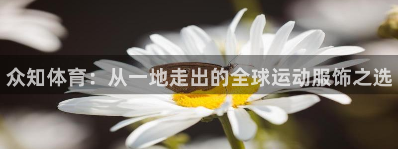 vsport体育在线官网：众知体育：从一地走出的全球运动服饰之选