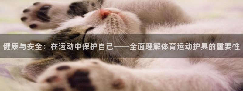 vsport体育：健康与安全：在运动中保护自己——全面理解体育运动护具的重要性