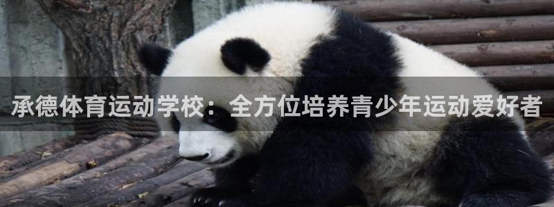vsport体育在线官网：承德体育运动学校：全方位培养青少年运动爱好者