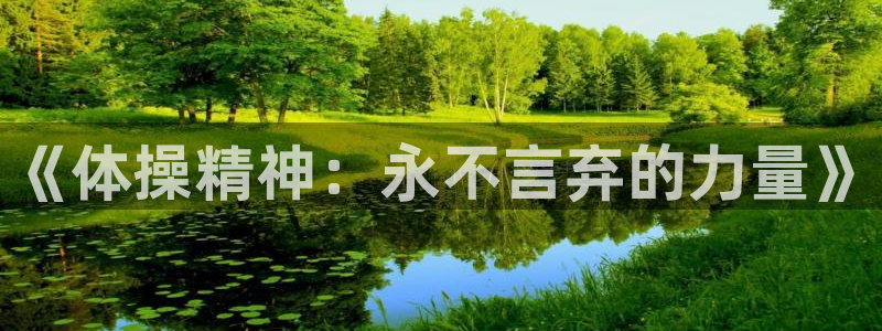 vsport体育在线官网：《体操精神：永不言弃的力量》