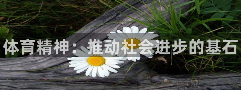 vsport体育在线官网：体育精神：推动社会进步的基石