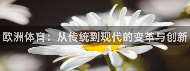 vsport体育：欧洲体育：从传统到现代的变革与创新