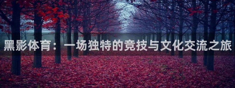 vsport体育：黑影体育：一场独特的竞技与文化交流之旅