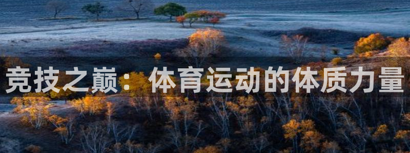 vsport体育：竞技之巅：体育运动的体质力量