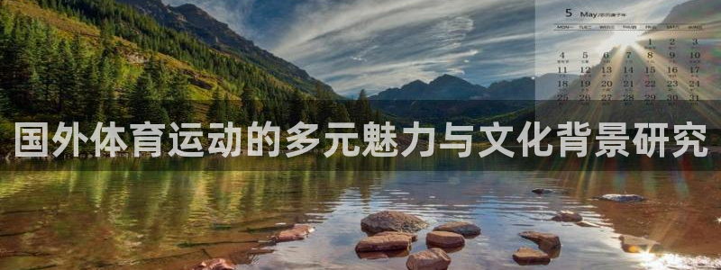 vsport体育在线官网：国外体育运动的多元魅力与文化背景研究